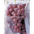 Czerwone winogrona z Yunnan